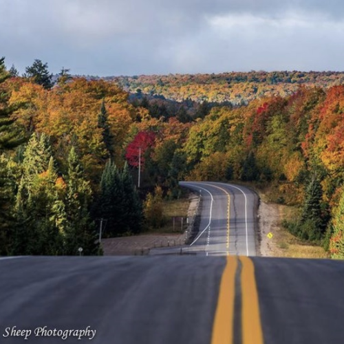 Fall