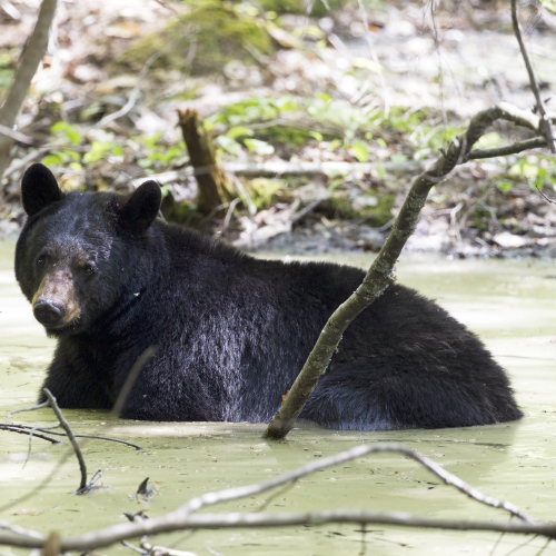 Just taking a little soak