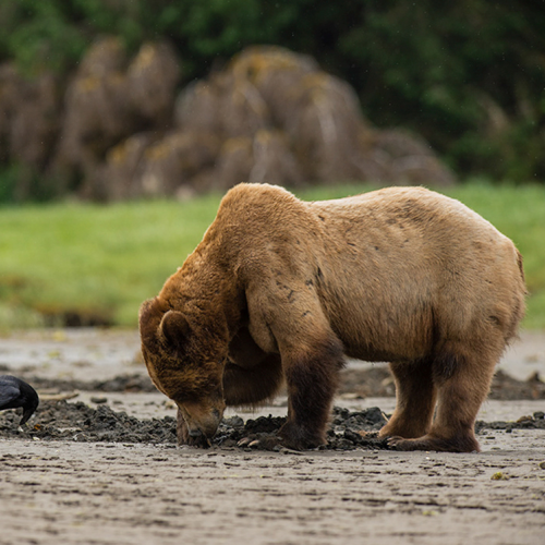 Table for Two