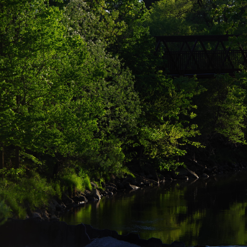 Bridge over creek