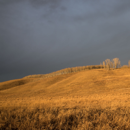 Western Wonders