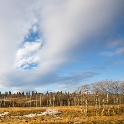 Western Wonders