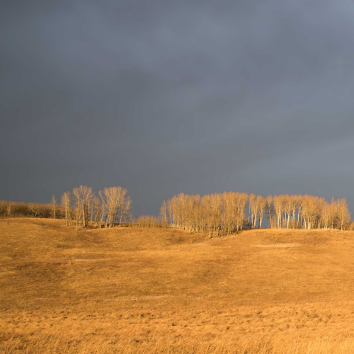 Western Wonders