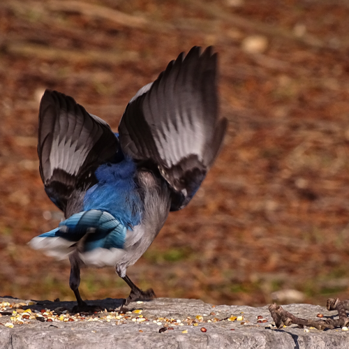 Take off
