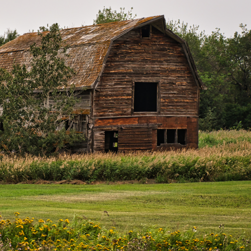 Abandoned Barn