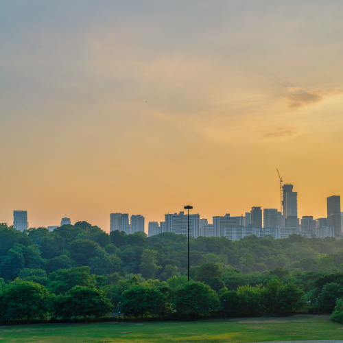 Sunset at Riverdale Park