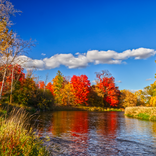Beautiful fall foliage at the Credit river, Mississauga, ON