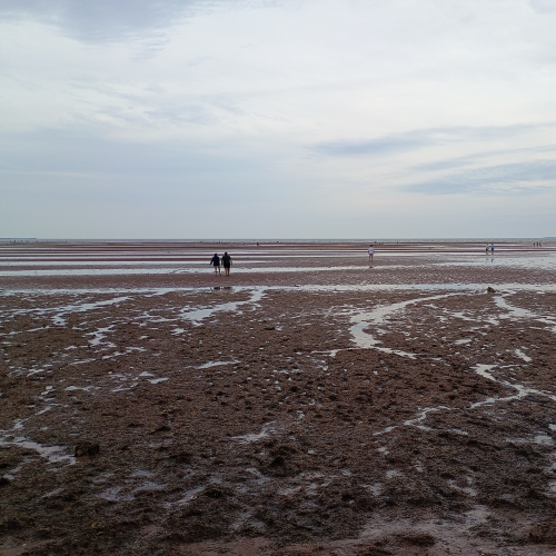 Clam digging