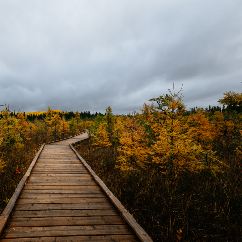 Fall Has Arrived