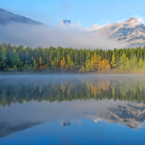Painted Waters
