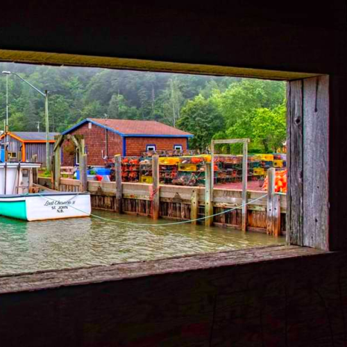 Through the Window