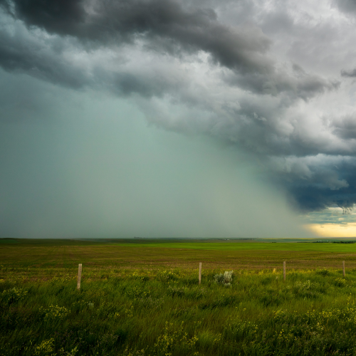 Wall of Rain