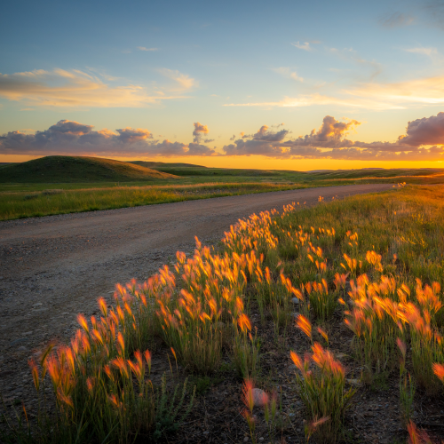 Sunset in Grasslands National Park(West Block)