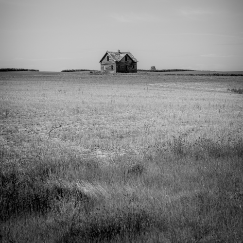 A Lone House on the Field