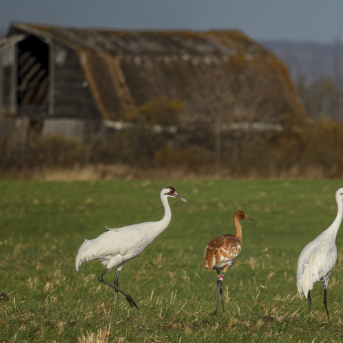 Family Outing! 